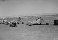 Asisbiz Spitfire MkIXs RAF 281 Wing X and Y at Prkos Yugoslavia IWM CNA3509