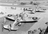 Asisbiz Spitfire MkVb RAF 322 Wing C ES187 and T ES191 at Tingley Algeria IWM CNA278