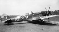 Asisbiz Spitfire XIV RCAF 402Sqn AEP RM727 Nov 1944 01