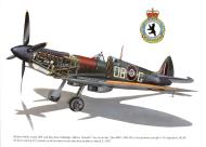 Asisbiz Spitfire LFIX RCAF 411Sqn DBG Richard Audet MK950 Dec 1944 0A