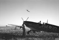 Asisbiz Spitfire MkIX RCAF 403Sqn KHG prior to taking off Bazenville Normandy 1944 IWM CL778