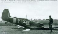 Asisbiz Spitfire MkIX RNZAF 485Sqn OUF force landed France 01