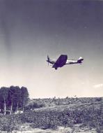 Asisbiz Spitfire MkIX SAAF 2Sqn DBV Italy 1943 01