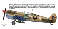 Asisbiz Spitfire MkVcTrop SAAF 2Sqn DBR JK815 Gioia del Colle Italy Oct 1943 0A
