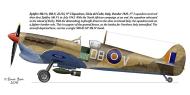 Asisbiz Spitfire MkVcTrop SAAF 2Sqn DBV JL115 Gioia del Colle Italy Oct 1943 0A