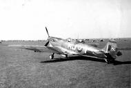 Asisbiz Spitfire LFIX SAAF 4Sqn KJT Italy 1945 02