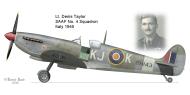 Asisbiz Spitfire MkIX SAAF 4Sqn KJK Denis Taylor SM143 Italy 1945 0A