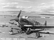Asisbiz Spitfire MkVcTrop SAAF 4Sqn KJN Sicily Italy 1943 01