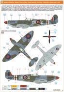 Asisbiz Spitfire LFIXe SAAF 3Sqn CAG Maj Cecil Golding CO RK856 Italy 1945 profile by Eduard 0B