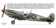 Asisbiz Spitfire MkIX SAAF 41Sqn X Mauritz Hartogh MA257 Idku Egypt Apr 1944 0A