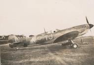 Asisbiz Spitfire MkIX SAAF 7Sqn TJA xx254 Italy 1945 01