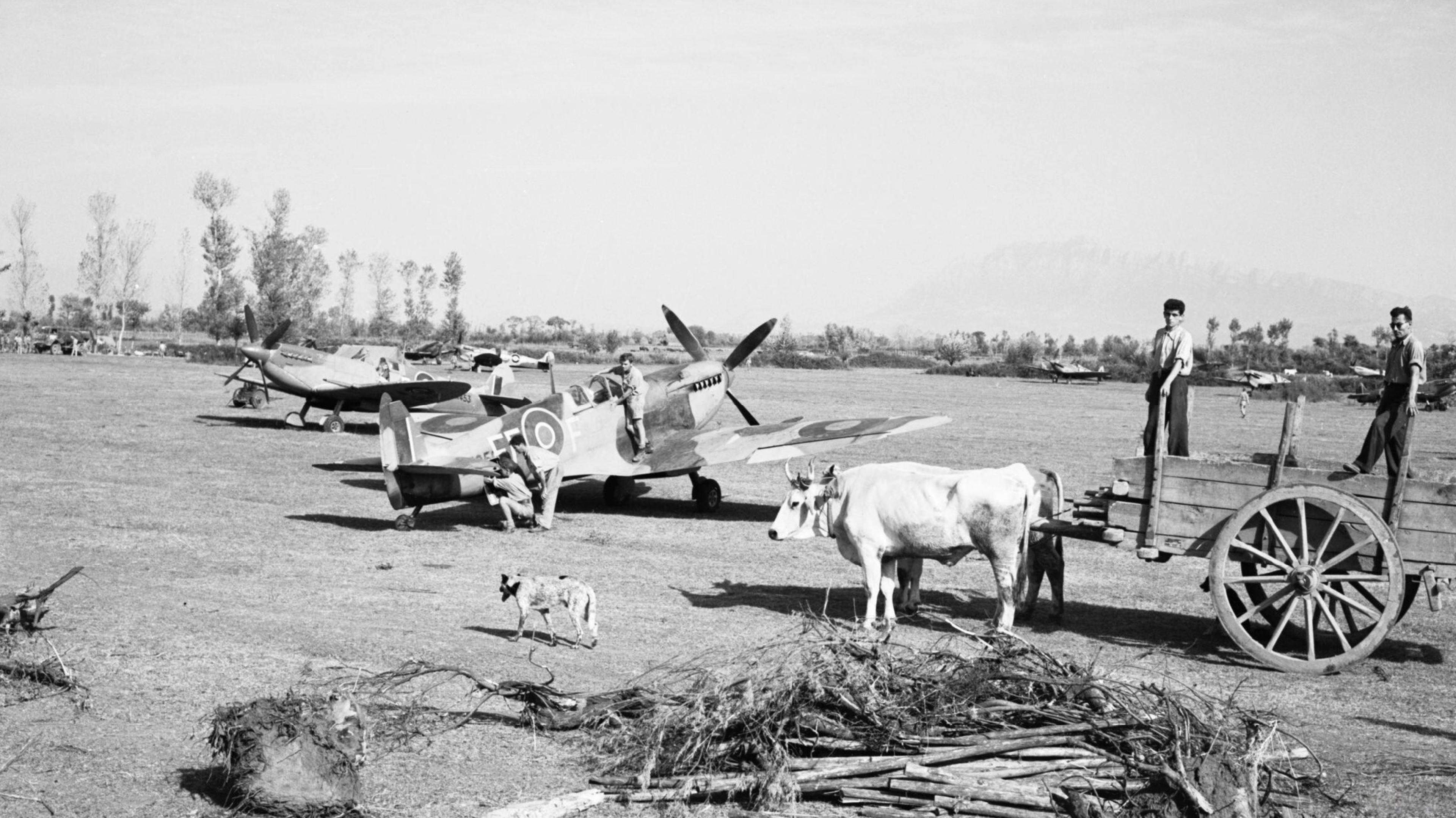 Spitfire MkIX RAF 232Sqn EFF at Serretelle nr Salerno Italy 3rd Oct 1943 IWM CNA1642a