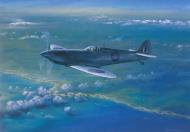 Asisbiz Recon Painting by Roy Cross Spitfire PRIV RAF AB300 cruises 25000ft over Sicily 0A