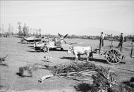 Asisbiz Spitfire MkIX RAF 232Sqn EFF at Serretelle nr Salerno Italy 3 Oct 1943 IWM CNA1642