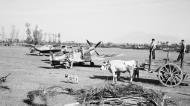 Asisbiz Spitfire MkIX RAF 232Sqn EFF at Serretelle nr Salerno Italy 3 Oct 1943 IWM CNA1642a