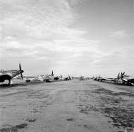 Asisbiz Spitfire MkVTrop RAF reinforcement aircraft at Bone Algeria IWM CNA3984