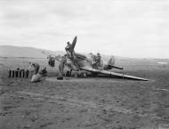 Asisbiz Spitfire VbTrop RAF 1435Sqn EP286 which suffered undercarriage failure on landing at Bone Algeria IWM CNA3983