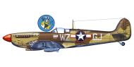 Asisbiz Spitfire MkIX USAAF 12AF 31FG309FS WZGJ Maj G Jared 1943 0A