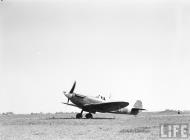 Asisbiz Spitfire MkVb USAAF 12AF 31FG307FS MXN Oct 1942 01