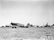Asisbiz Spitfire MkVb USAAF 12AF 31FG307FS MXN Oct 1942 02