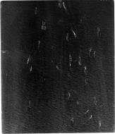 Asisbiz USAAAF 7PG22FS aerial recon photo to D Day+6 France 12th June 1944 01
