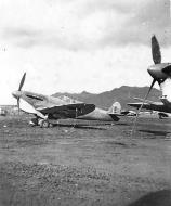 Asisbiz Spitfire MkVbTrop USAAF EP835 Italy 1943 01