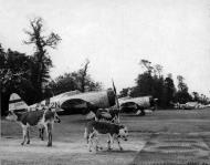 Asisbiz Spitfire MkVb USN VCS 7 4Q Normandy Airfield late 1944 01