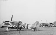 Asisbiz Hawker Tempest RNZAF 486Sqn SAA with SAL background 01