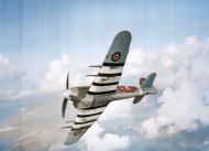 Asisbiz Hawker Tempest V RNZAF 486Sqn SAK JP853 during their re equipment with the type in flight over England 01