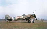 Asisbiz Hawker Tempest V RNZAF 486Sqn SAN JN766 during their re equipment with the type at Castle Camps Cambridgeshire IWM CH13955