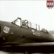 Asisbiz FFS AB42 Arado Ar 96B with coat of arms Helmstedt October 1943 ebay 01