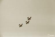 Asisbiz Arado Ar 66C Lufwaffe Stkz NK+AY later NSGr8 at Malmi 29th Jan 1944 03