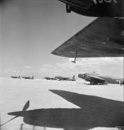 Asisbiz Vickers Wellington BII RAF 104Sqn await their bomb loads at LG 224 Cairo West Egypt IWM CM3927