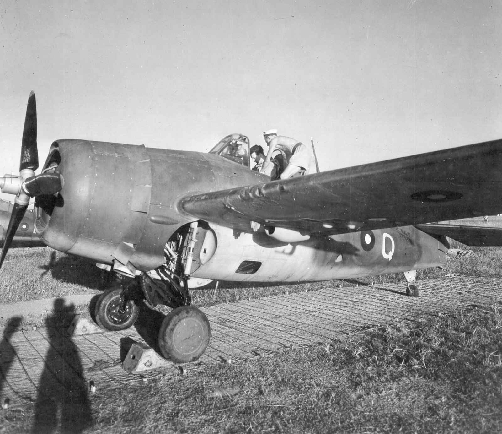 Fleet Air Arm 890NAS Martlet MkII White Q land based 01