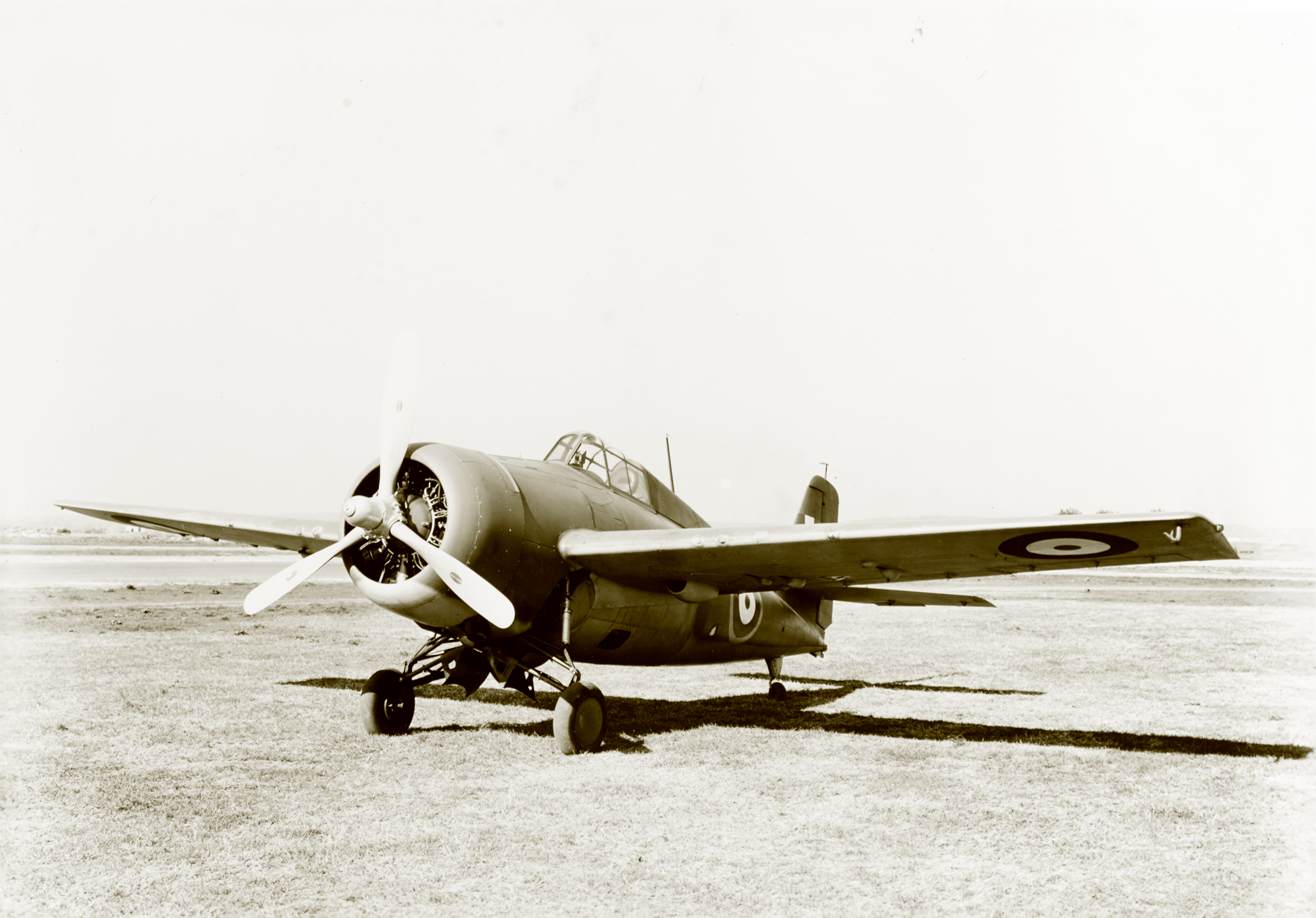 Fleet Air Arm Martlet MkII FN100 Grumman F4F-4B Wildcat RAF side profile view at NAS Anacostia NH 89676