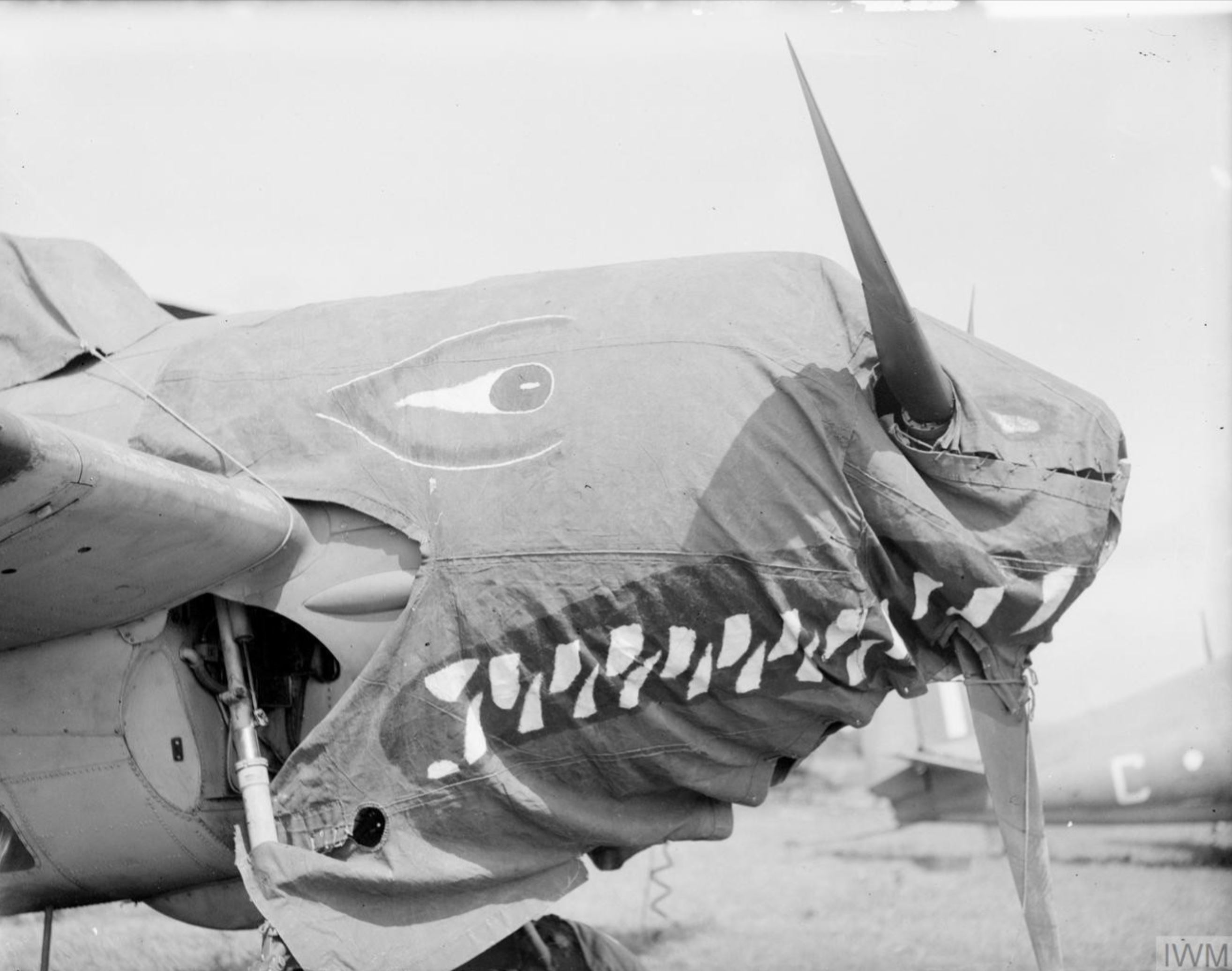 Fleet Air Arm Martlet after transfering from HMS Rajaliya to Eastern Fleet Station drome IWM A25551