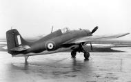 Asisbiz Fleet Air Arm Martlet MkI Grumman F4F 3 Wildcat BJ570 rear quarter profile view most likely at NAS Anacostia 01