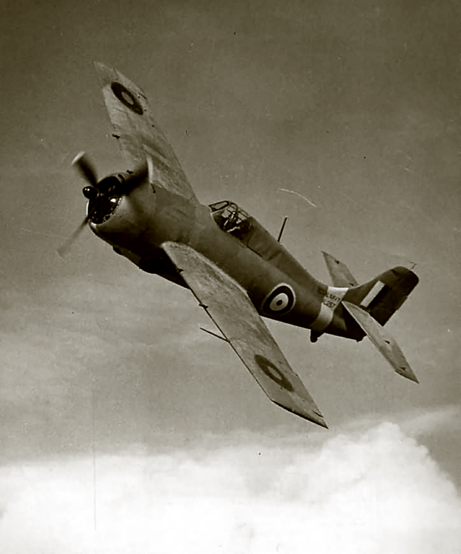 Fleet Air Arm Martlet MkI FAA 804NAS AL257 web 01