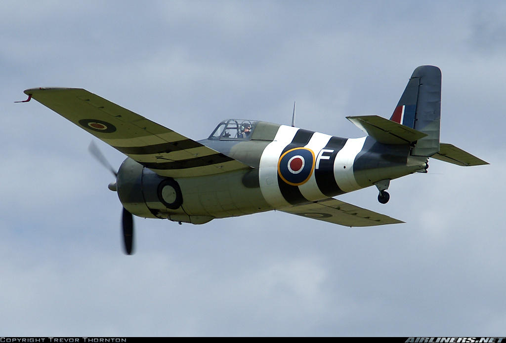 Airworthy Ford FM-2 Wildcat Bu 86711 cn 5765 warbird painted as RN 846 Sqn F 1944 05