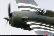 Asisbiz Airworthy Ford FM 2 Wildcat Bu 86711 cn 5765 warbird painted as RN 846 Sqn F 1944 04
