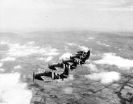 Asisbiz Fleet Air Arm 846NAS Grumman Martlet IV White D based Eglington Northern Ireland Jun 1944 IWM A24528