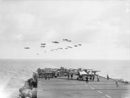 Asisbiz Fleet Air Arm 882Sqn Martlets aboard HMS Searcher 20th Jul 1944 IWM A25040