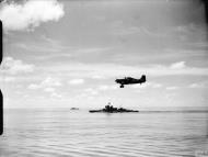 Asisbiz Fleet Air Arm 888NAS Martlet White G about to land aboard HMS Formidable nr Madagascar Apr May 1942 01