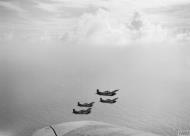 Asisbiz Fleet Air Arm FAA 888NAS Martlets White P A I and N from HMS Formidable in formation IWM A11649