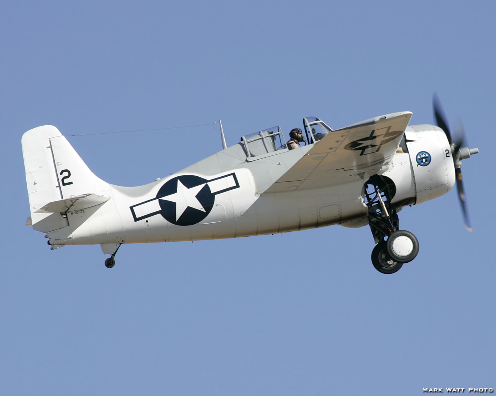 Airworthy warbird as General Motors FM-2 Wildcat VC-13 Black 2 04