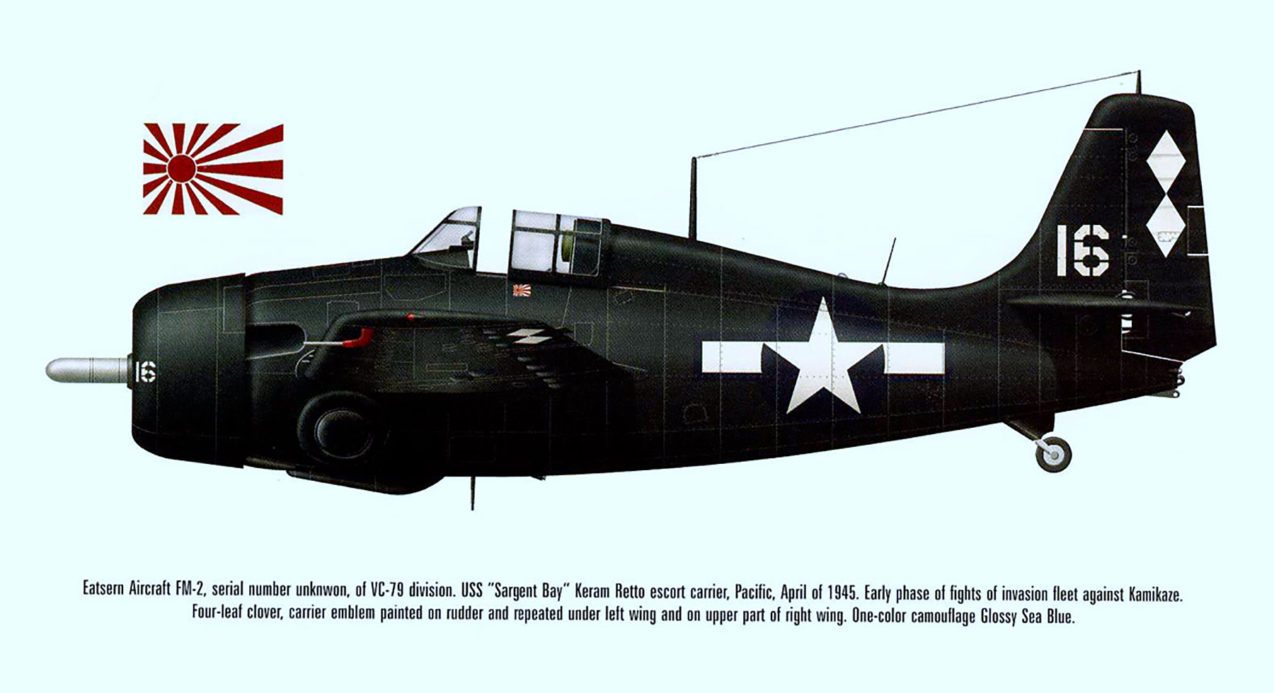General Motors FM-2 Wildcat VC-79 White 9 aboard CVE-83 USS Sargent Bay off Okinawa 1945 0A