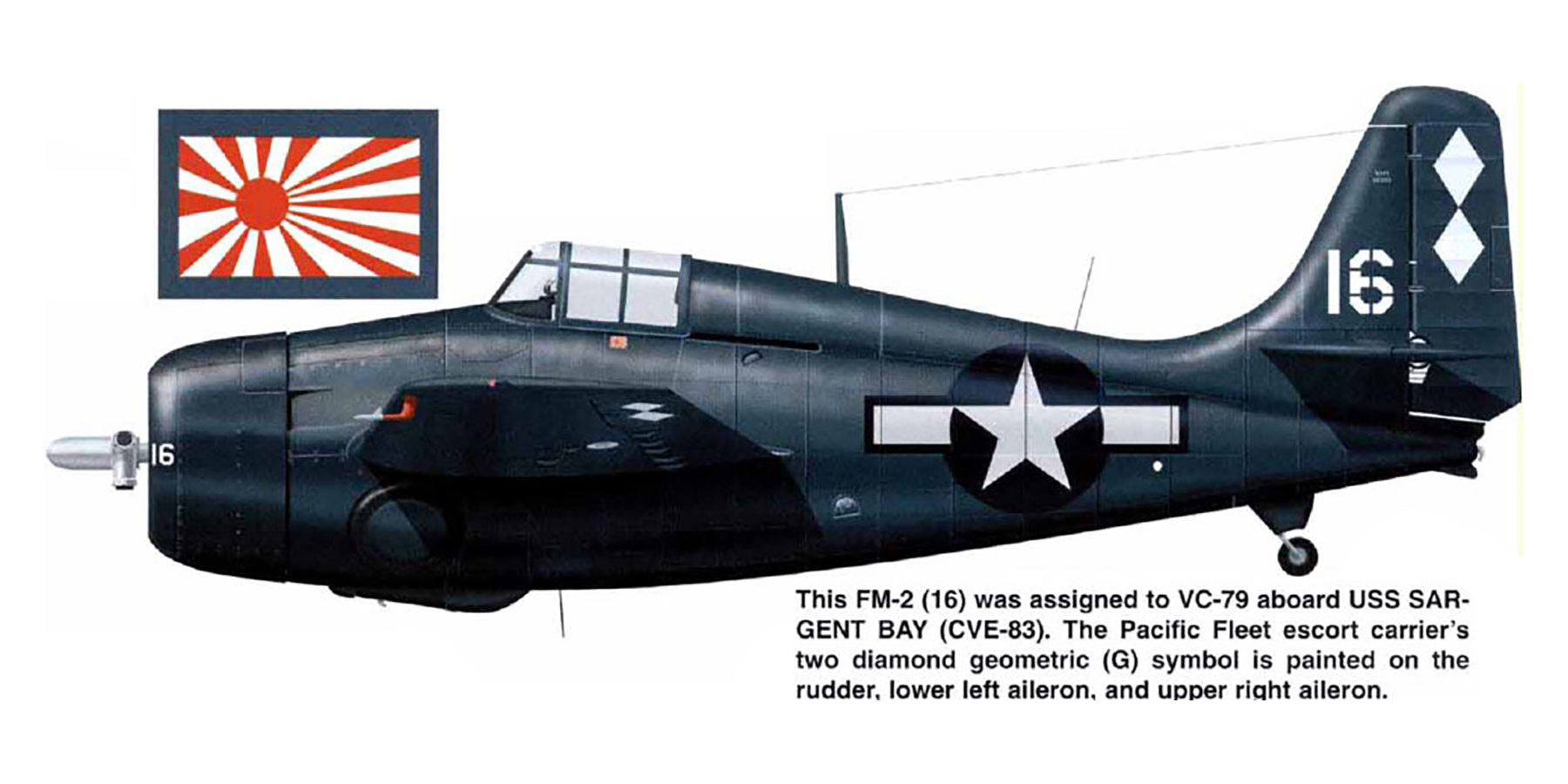 General Motors FM-2 Wildcat VC-79 White 9 aboard CVE-83 USS Sargent Bay off Okinawa 1945 0B