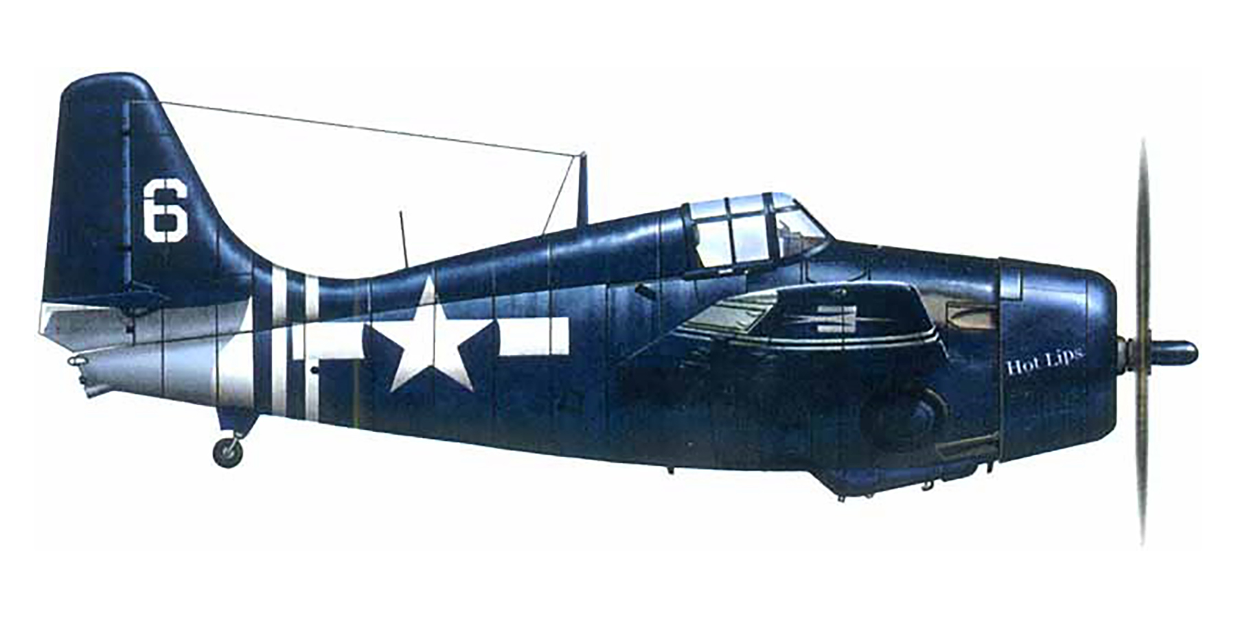 FM-2 Wildcat VC-88 White 6 Hot Lips aboard CVE-78 USS Hoggatt Bay 1944 V0B