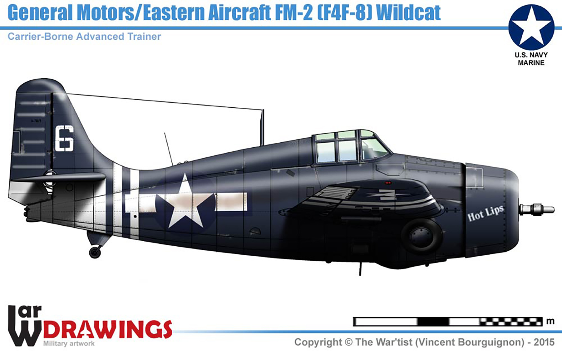 FM-2 Wildcat VC-88 White 6 Hot Lips aboard CVE-78 USS Hoggatt Bay 1944 V0C