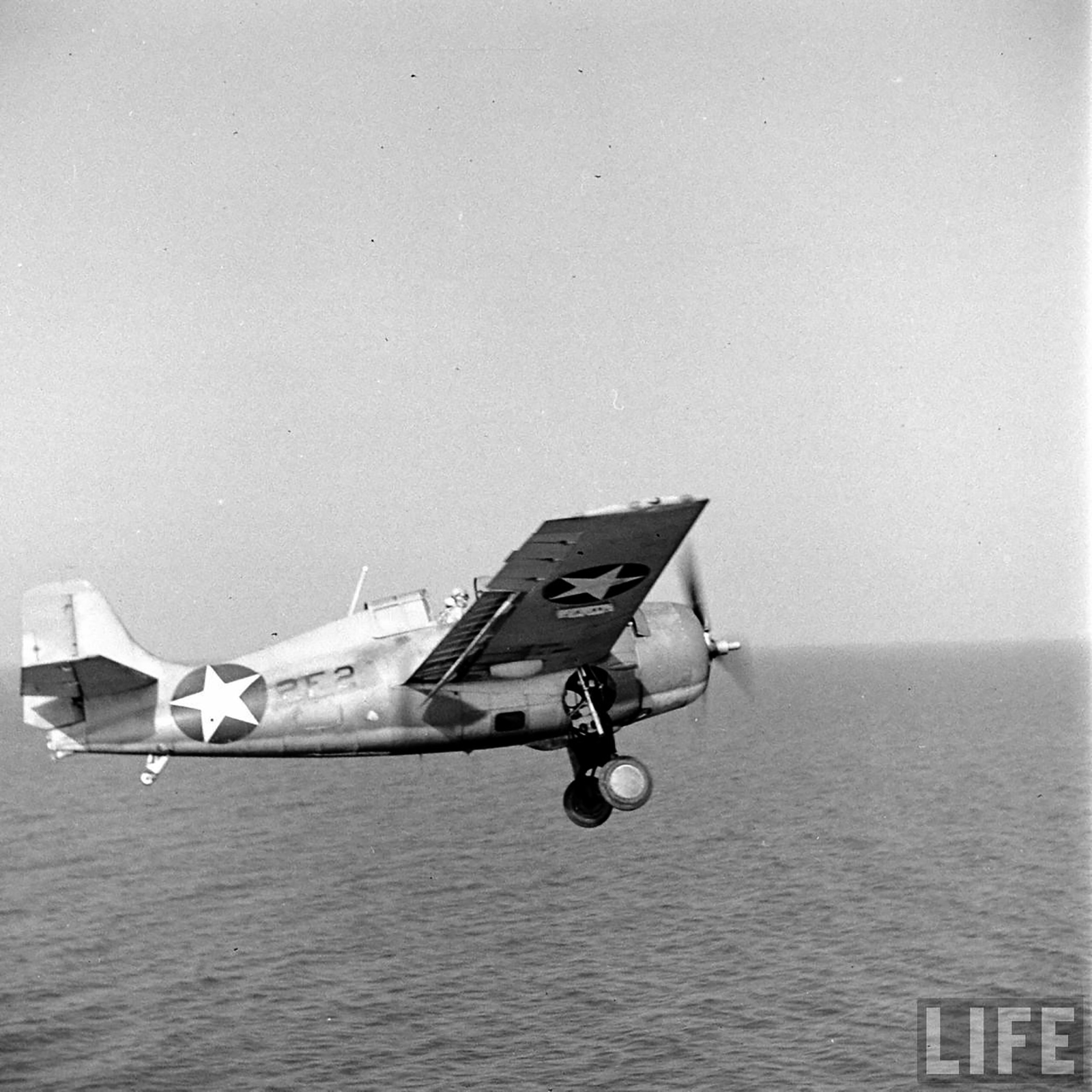 Grumman F4F-3 Wildcat VF-2 Black 2F2 USN Life photo series 1942 01